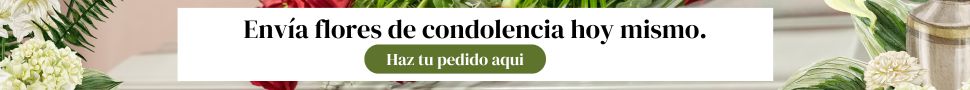 Envía flores de condolencia hoy mismo